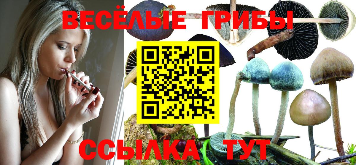 Псилоцибиновые грибы GOLDEN TEACHER  Псилоцибиновые грибы прущие грибы  Нижний Тагил  Вход с VPN 