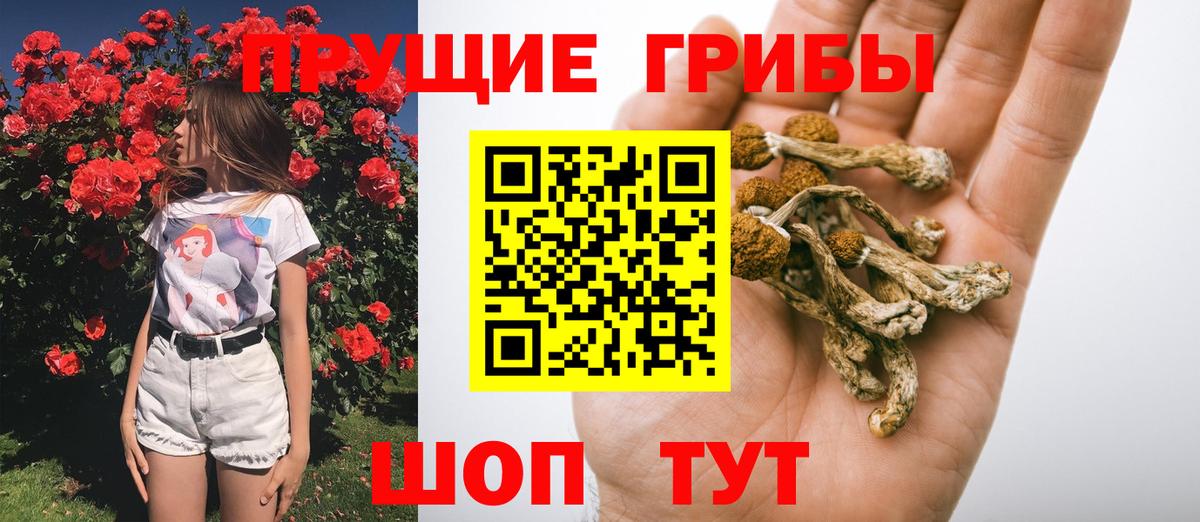 Псилоцибиновые грибы прущие грибы Нижний Тагил